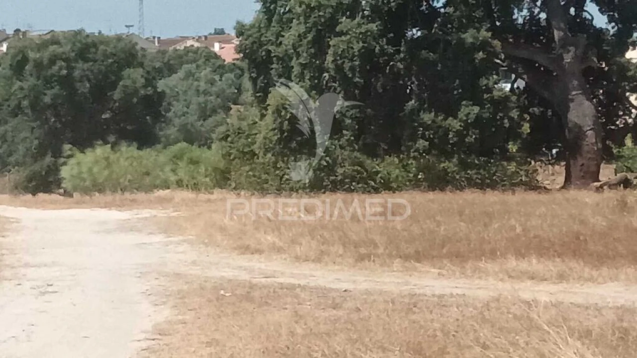 Terreno para Venda em Baixa da Banheira e Vale da Amoreira Foto 7
