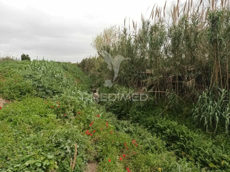 Terreno para Venda em Baixa da Banheira e Vale da Amoreira Foto 8