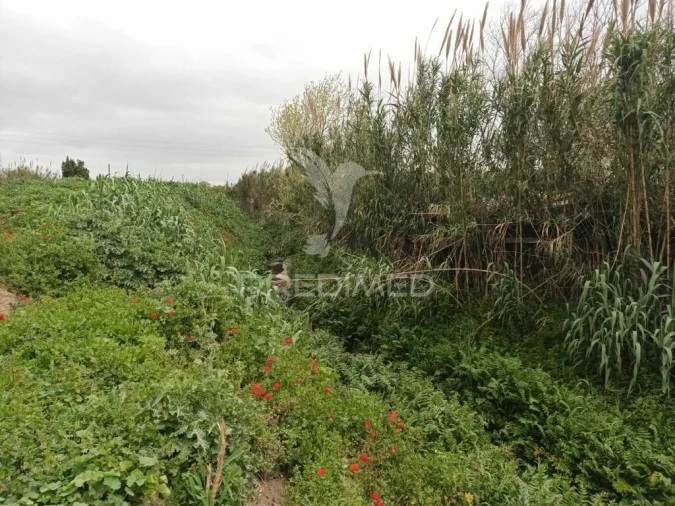 Terreno para Venda em Baixa da Banheira e Vale da Amoreira Foto 8