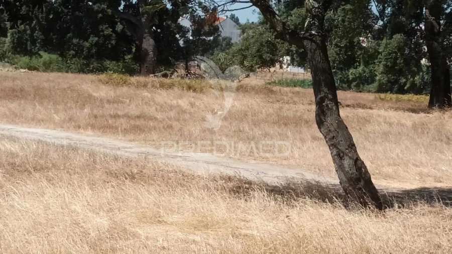 Terreno para Venda em Baixa da Banheira e Vale da Amoreira Foto 5