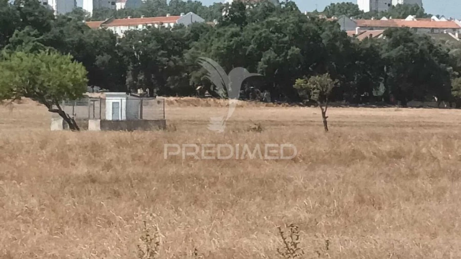 Terreno para Venda em Baixa da Banheira e Vale da Amoreira Foto 4