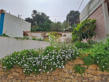 Terreno para Venda em Bordeira