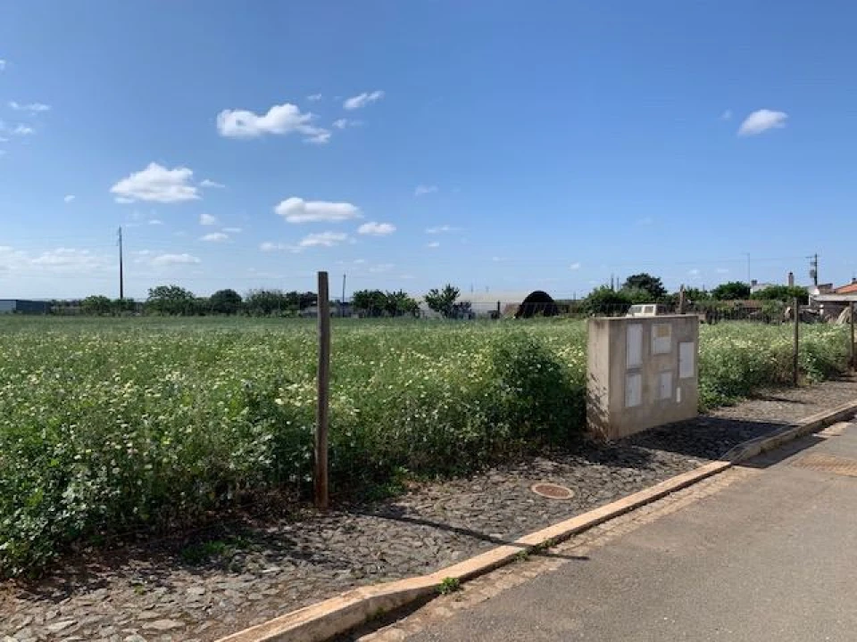 Terreno para Venda em Salvada e Quintos Foto 2