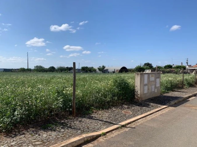 Terreno para Venda em Salvada e Quintos Foto 2