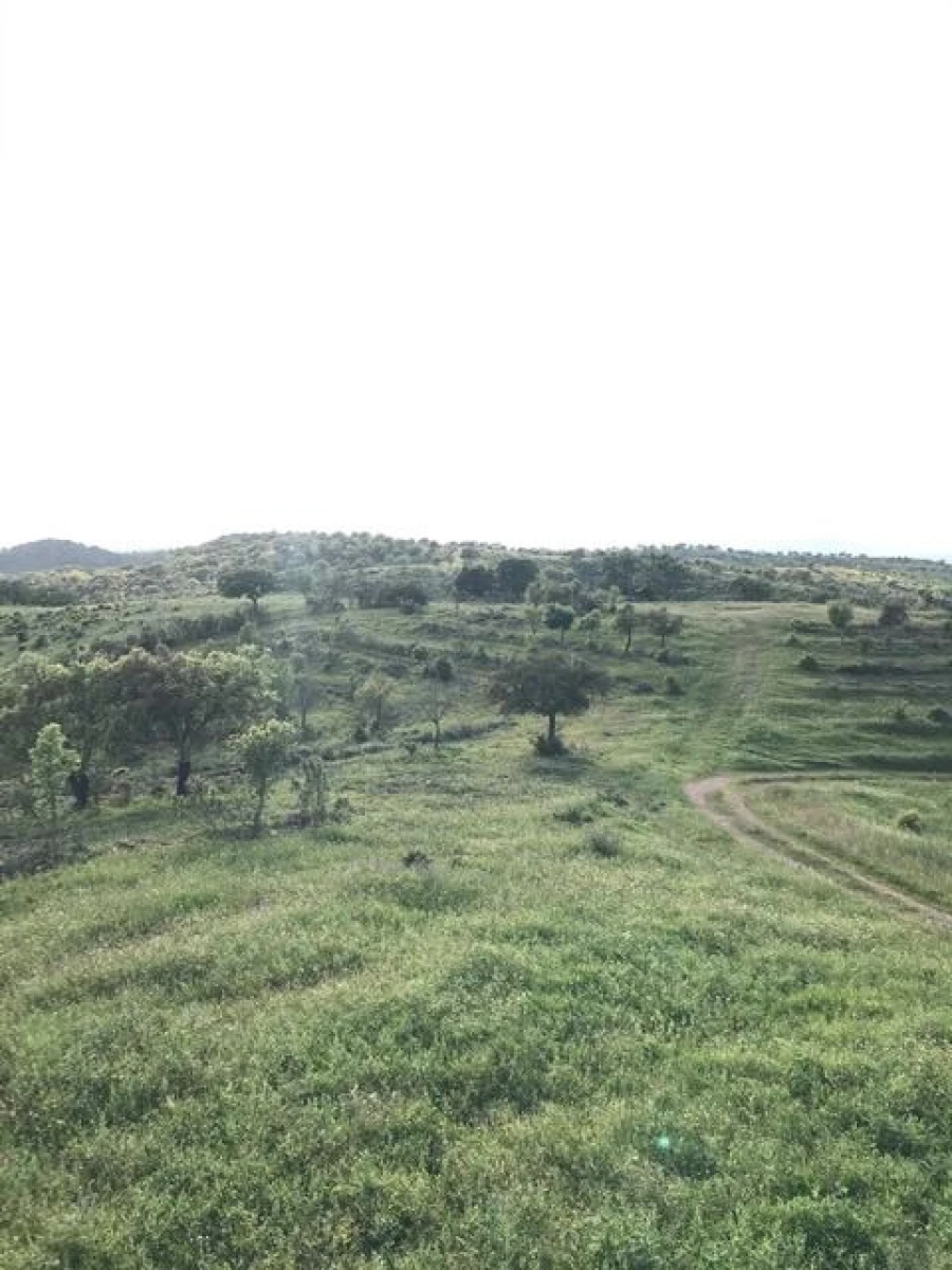 Quinta para Venda em Amareleja Foto 8