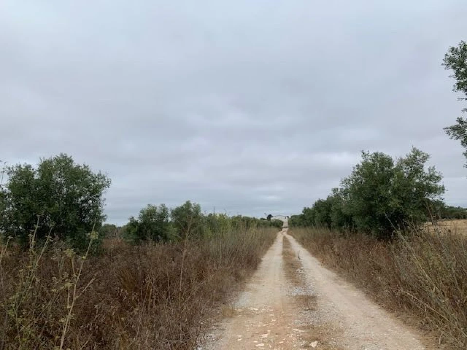 Quinta para Venda em Trigaches e São Brissos Foto 5