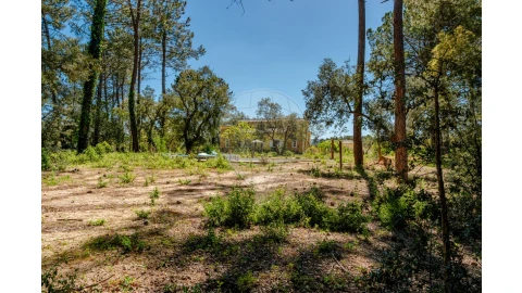 Quinta T4 para Venda em Azeitão (São Lourenço e São Simão)