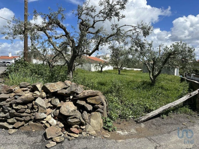 Terreno para Venda em Santa Cruz Foto 2