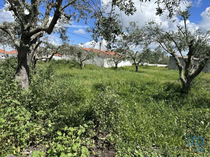 Terreno para Venda em Santa Cruz Foto 4