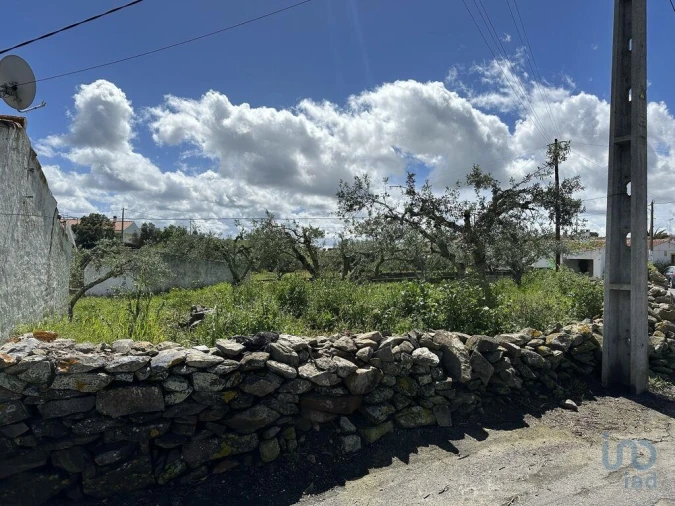 Terreno para Venda em Santa Cruz Foto 6