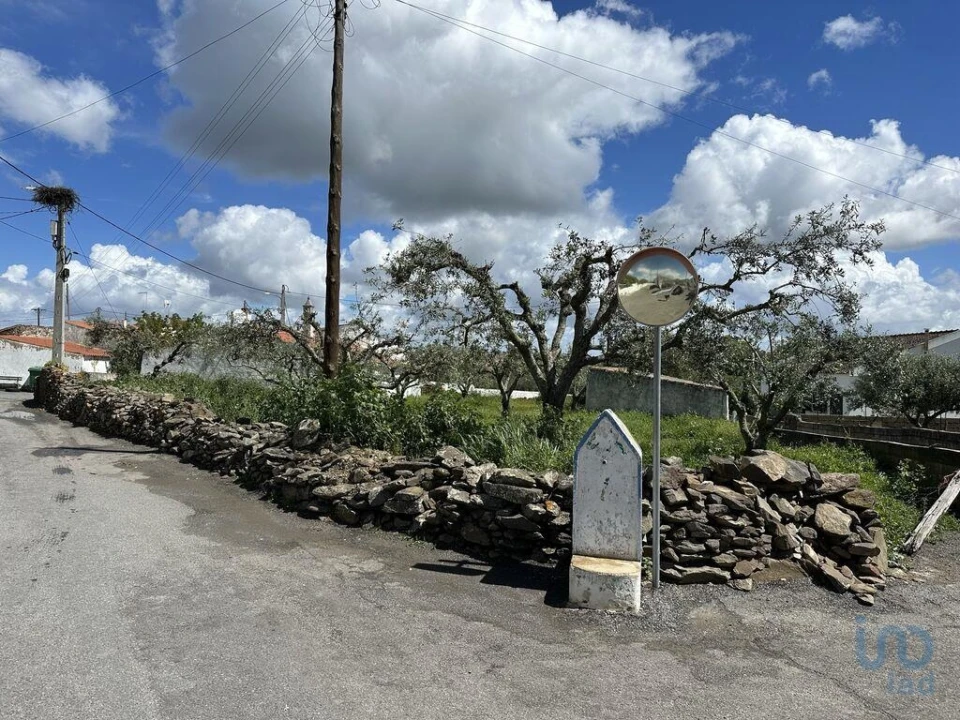 Terreno para Venda em Santa Cruz Foto 7