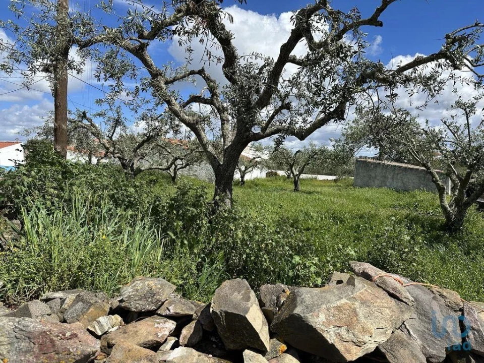 Terreno para Venda em Santa Cruz Foto 5