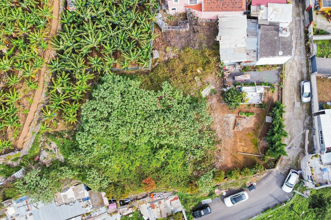 Terreno para Venda em Camara de Lobos Foto 3