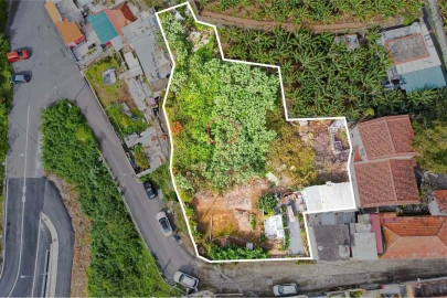 Terreno para Venda em Camara de Lobos