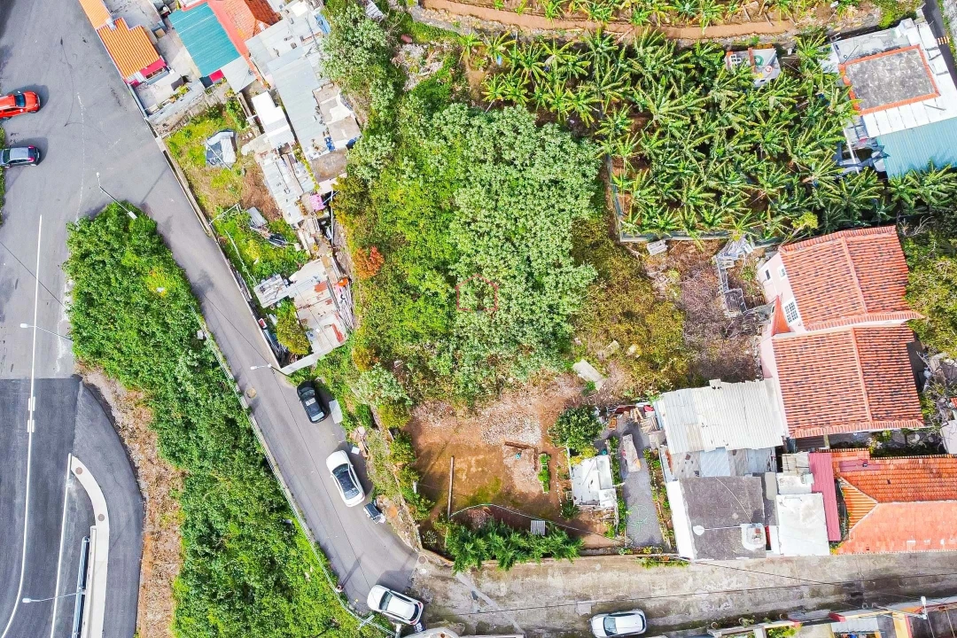 Terreno para Venda em Camara de Lobos Foto 4
