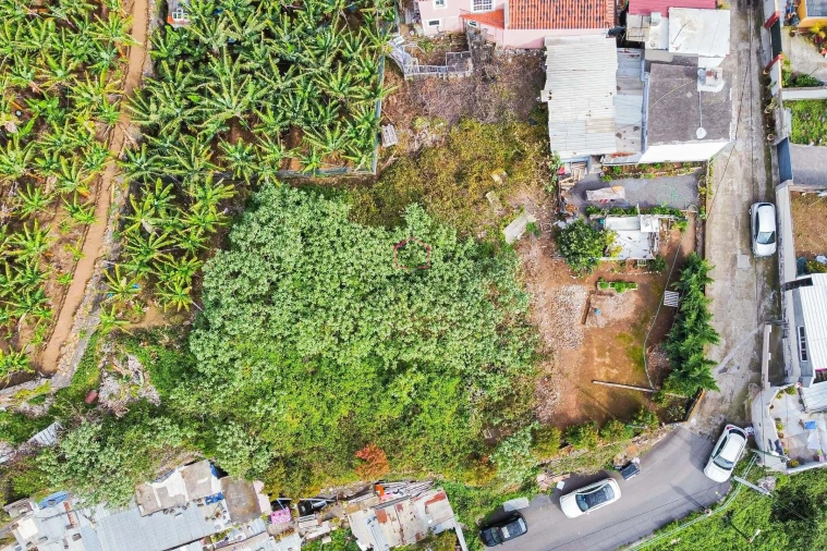 Terreno para Venda em Camara de Lobos Foto 3