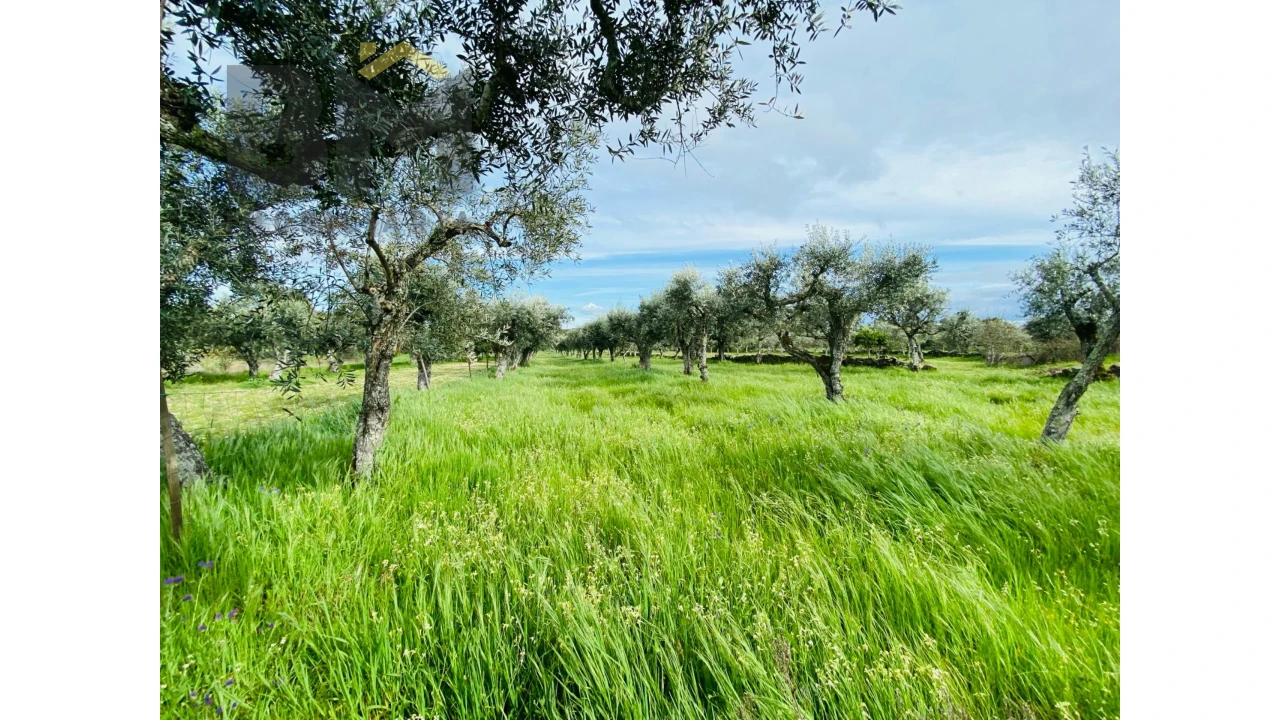 Quinta T0 para Venda em Póvoa de Rio de Moinhos e Cafede Foto 17