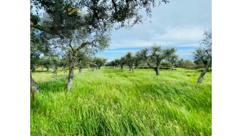Quinta T0 para Venda em Póvoa de Rio de Moinhos e Cafede
