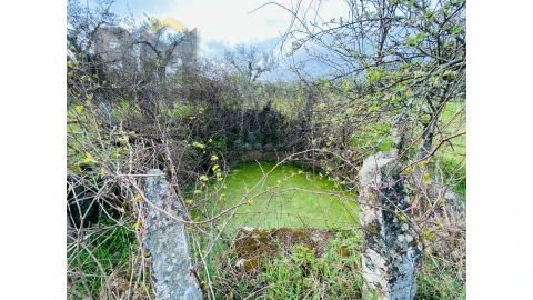 Quinta T0 para Venda em Póvoa de Rio de Moinhos e Cafede