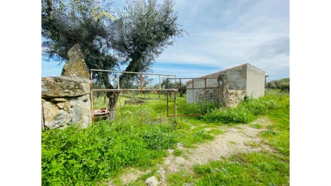 Quinta T0 para Venda em Póvoa de Rio de Moinhos e Cafede