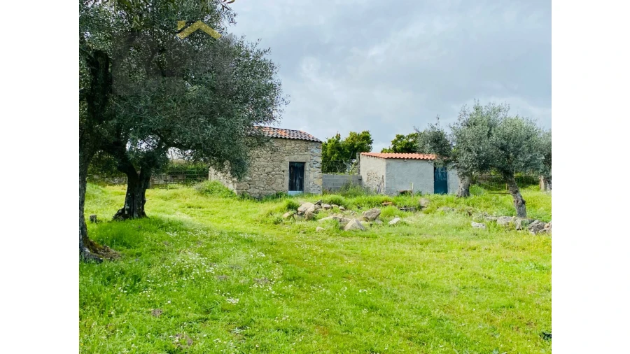 Quinta T0 para Venda em Póvoa de Rio de Moinhos e Cafede