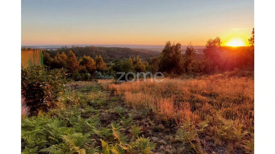 Terreno para Venda em Luso Foto 2