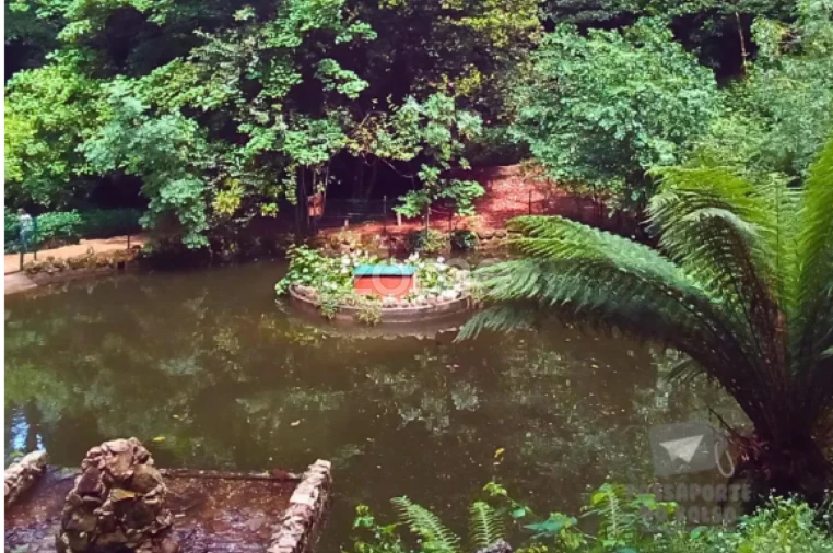 Terreno para Venda em Luso Foto 22