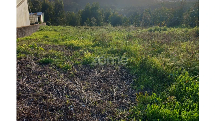 Terreno para Venda em Luso Foto 8