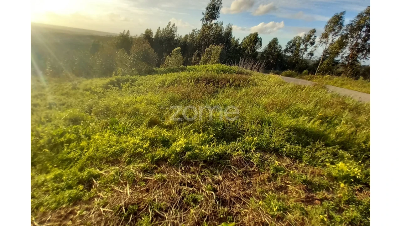 Terreno para Venda em Luso Foto 3