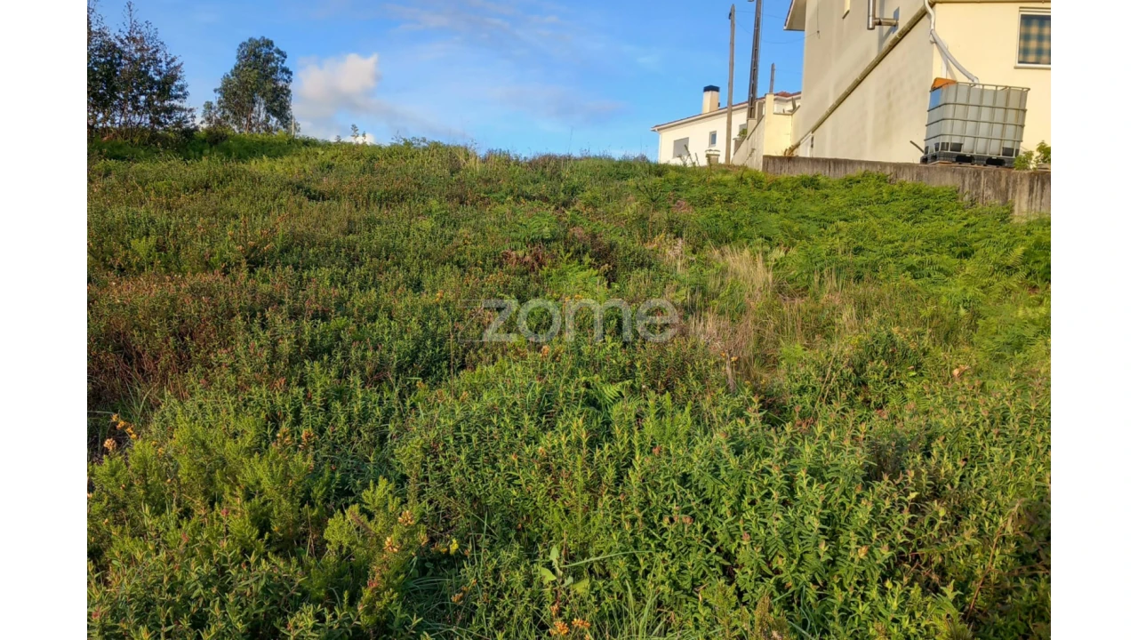 Terreno para Venda em Luso Foto 12