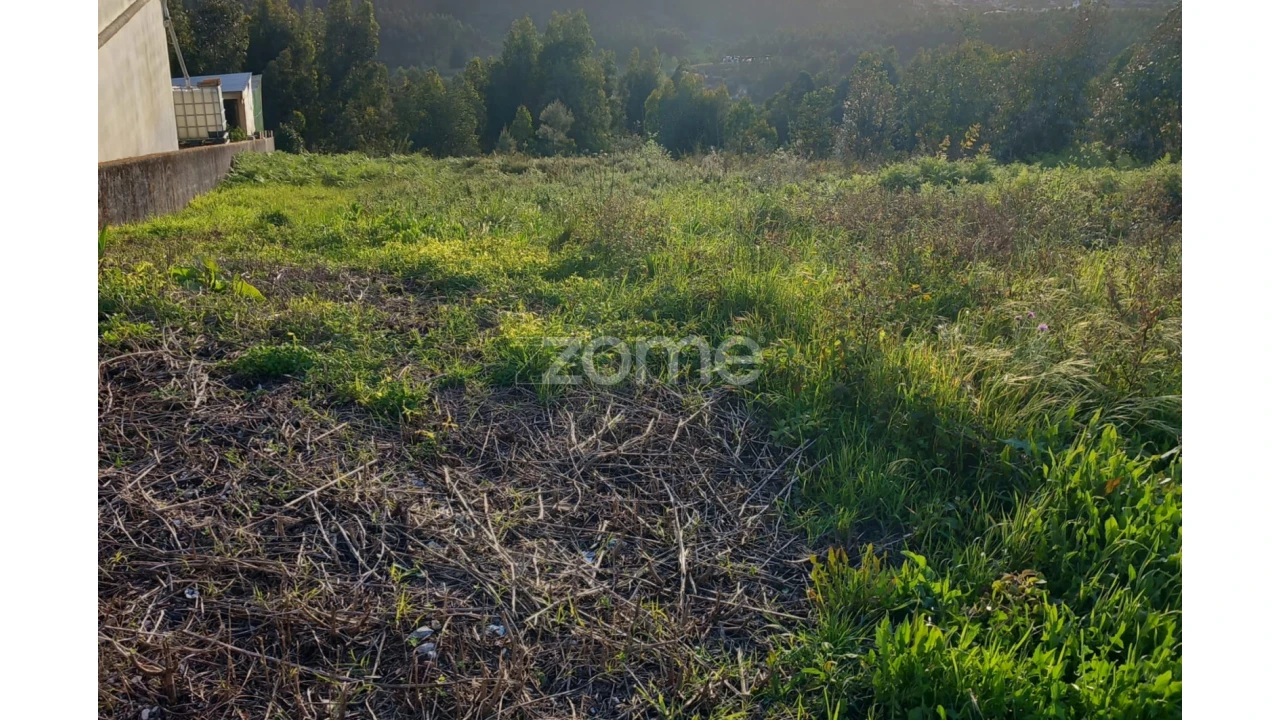 Terreno para Venda em Luso Foto 8