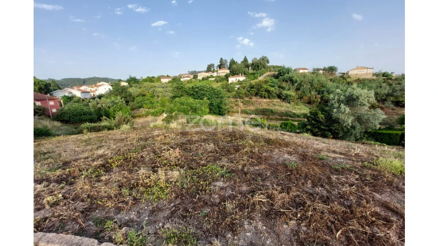 Terreno para Venda em Luso Foto 15