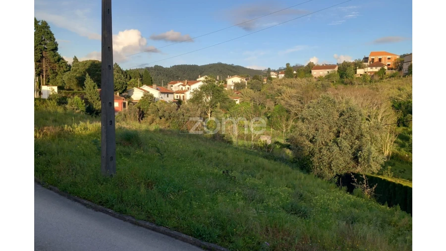 Terreno para Venda em Luso Foto 10
