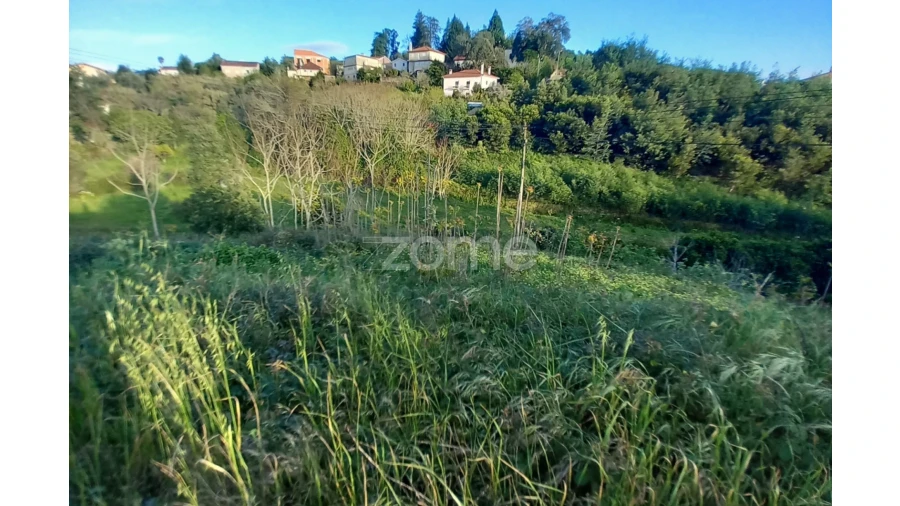 Terreno para Venda em Luso Foto 13