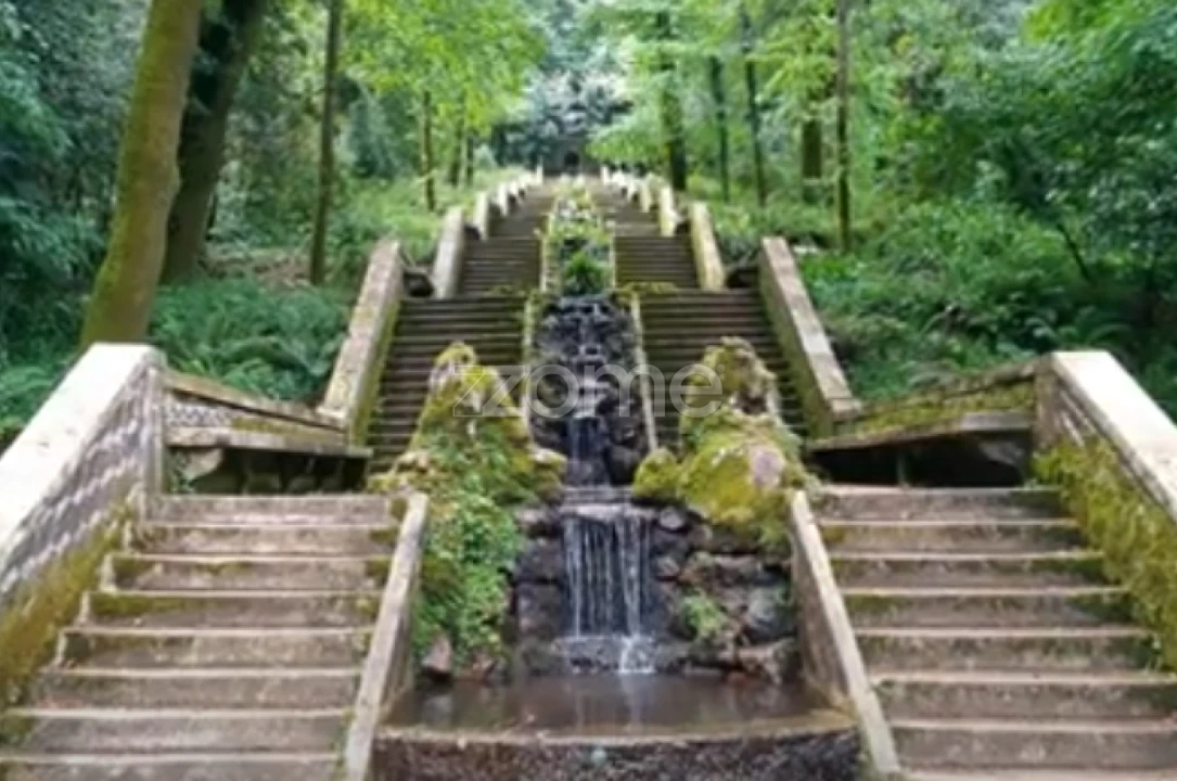 Terreno para Venda em Luso Foto 23