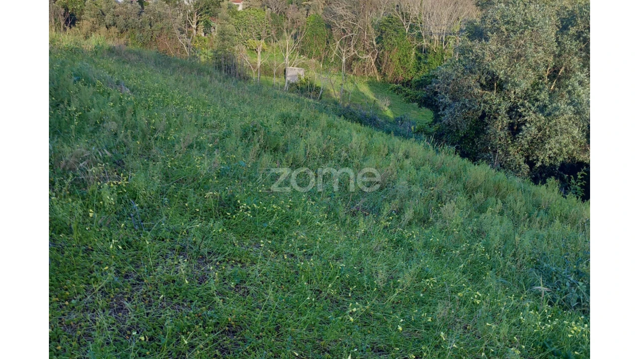 Terreno para Venda em Luso Foto 12