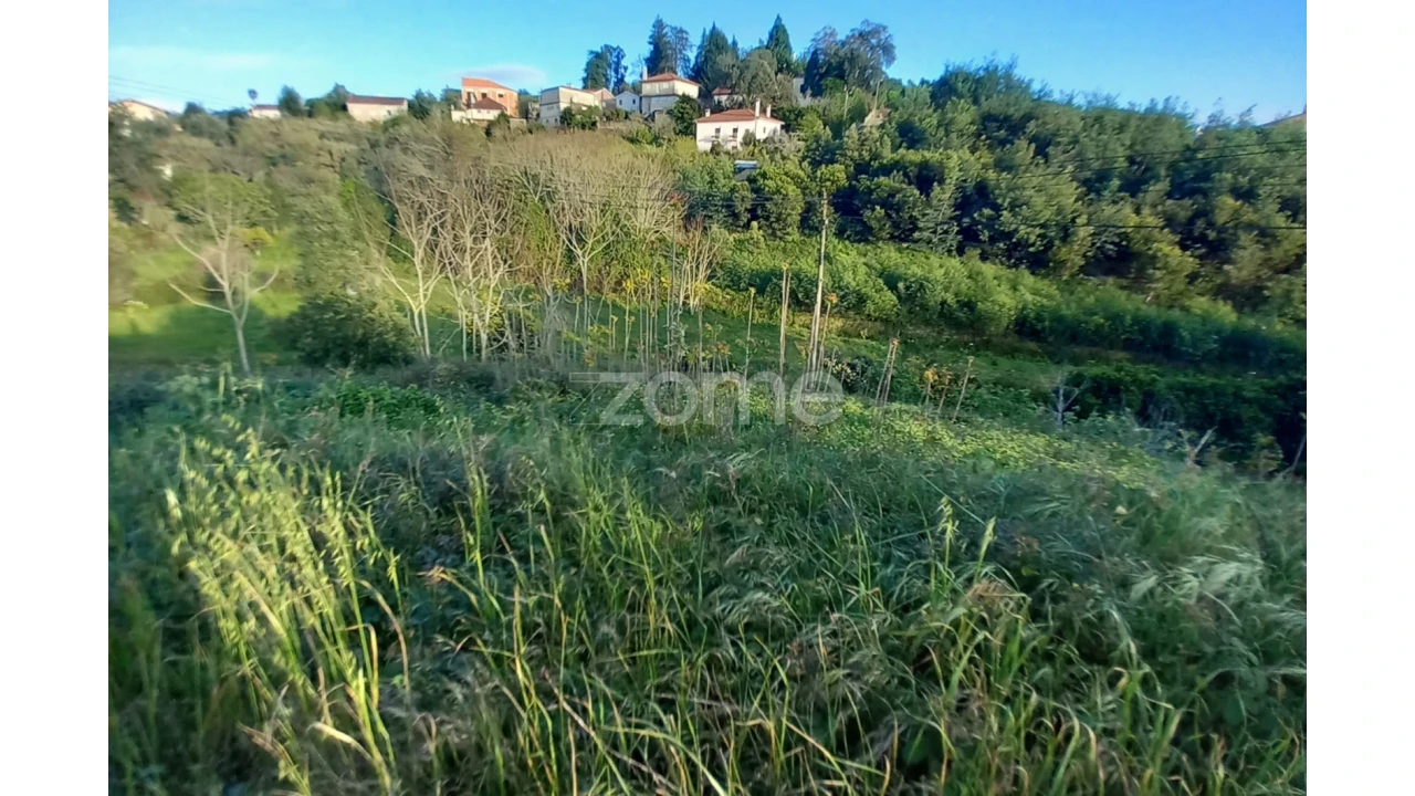 Terreno para Venda em Luso Foto 13