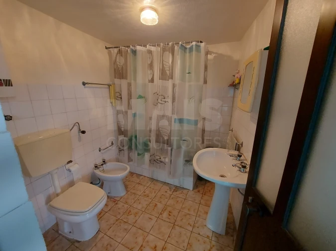 Prédio para Venda em Côja e Barril de Alva Foto 12