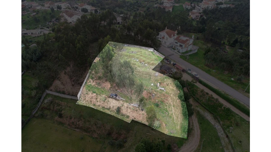 Terreno para Venda em Eiras e São Paulo de Frades Foto 4