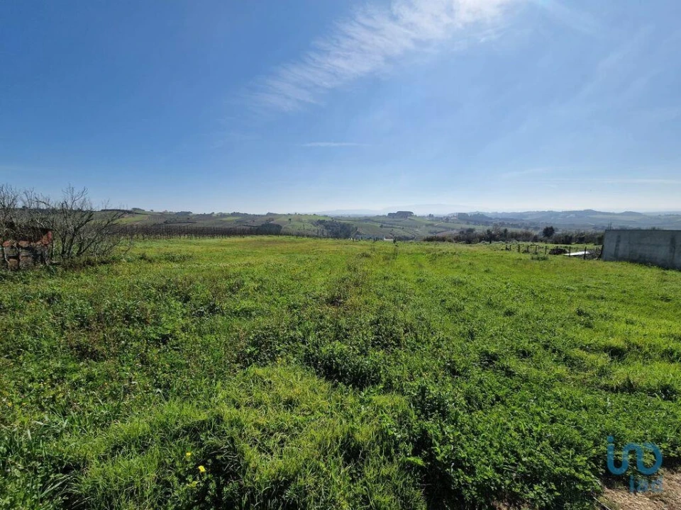 Moradia T3 para Venda em Carvalhal Foto 13