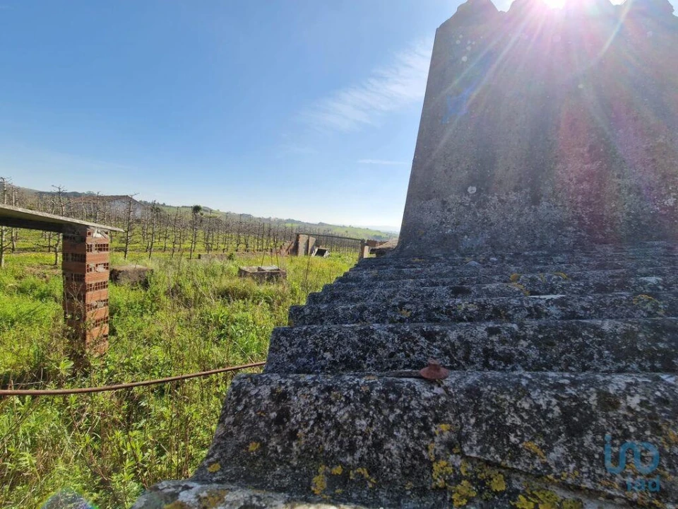 Moradia T3 para Venda em Carvalhal Foto 12