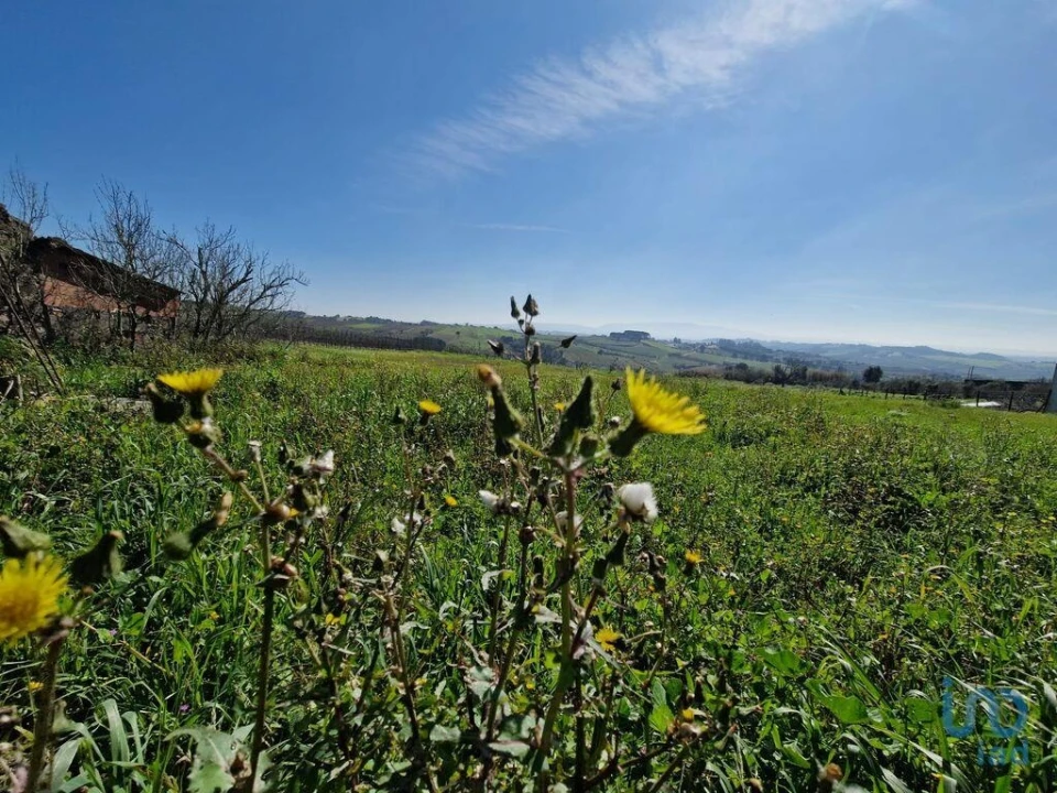 Moradia T3 para Venda em Carvalhal Foto 10