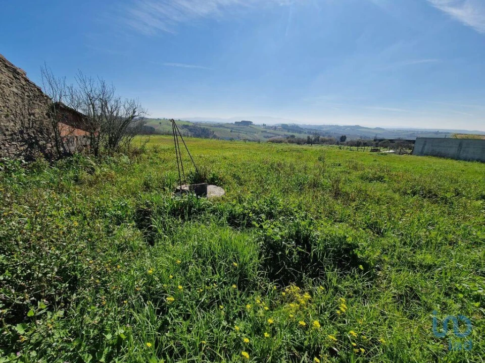 Moradia T3 para Venda em Carvalhal Foto 5