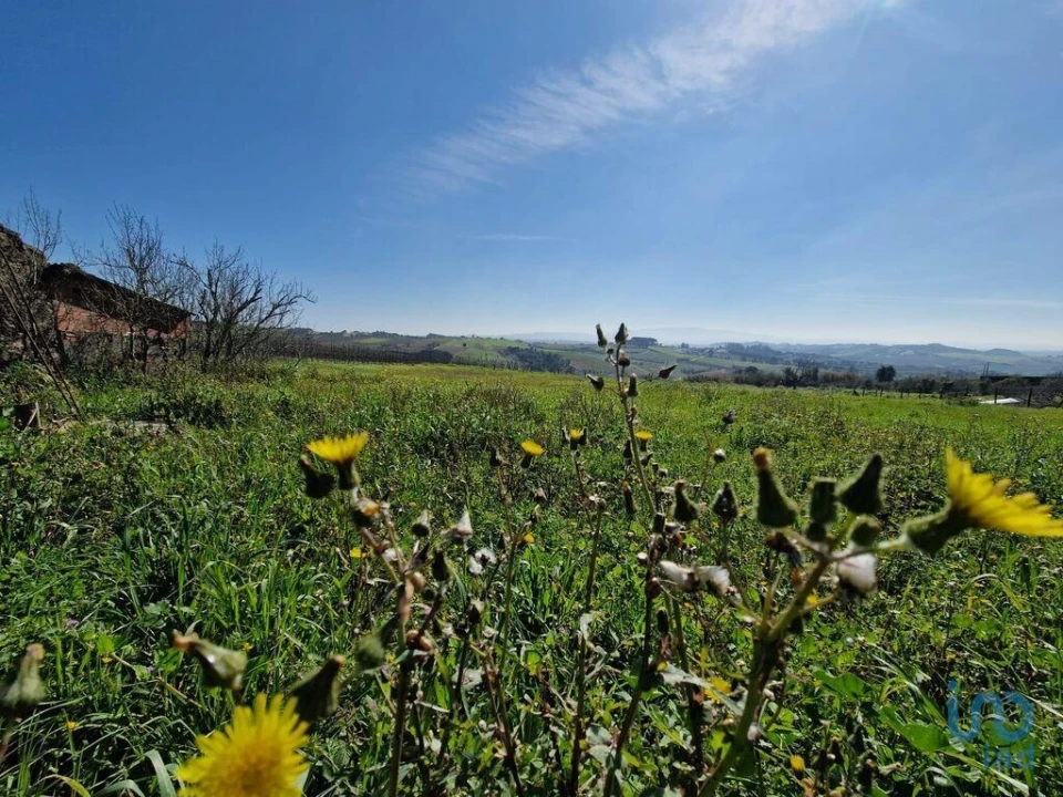 Moradia T3 para Venda em Carvalhal Foto 6