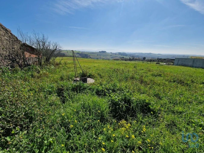 Moradia T3 para Venda em Carvalhal Foto 5