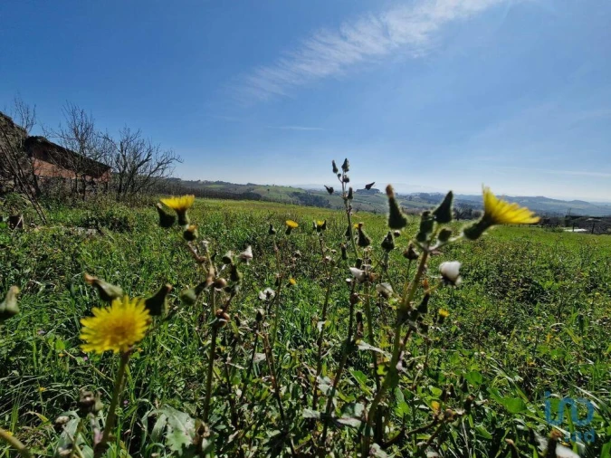 Moradia T3 para Venda em Carvalhal Foto 8