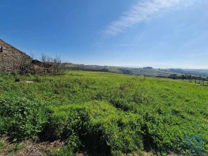 Moradia T3 para Venda em Carvalhal Foto 4