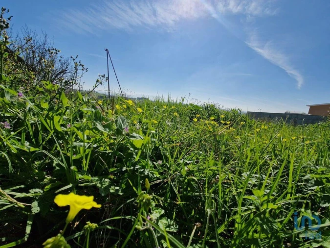 Moradia T3 para Venda em Carvalhal Foto 14