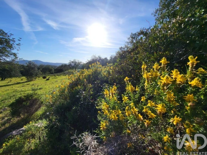Terreno para Venda em Santa Catarina da Fonte do Bispo Foto 22