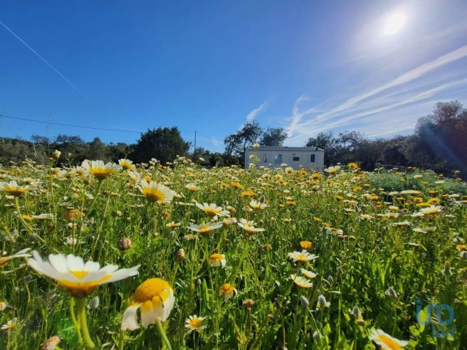 Terreno para Venda em Santa Catarina da Fonte do Bispo Foto 13